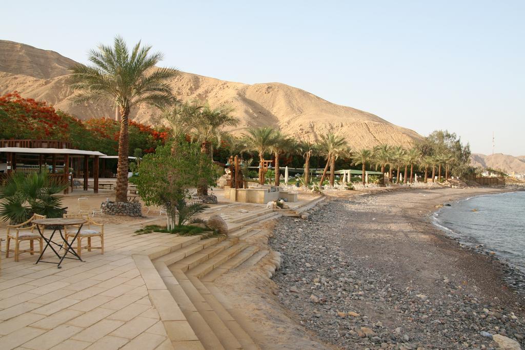 Tobya Boutique Hotel Taba Bilik gambar